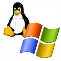 Windows and Linux Hosting