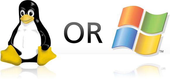 What is Windows Hosting and Linux Hosting Services?